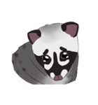 Ciki Civet (Asian Palm Civet)（個別スタンプ：2）