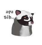 Ciki Civet (Asian Palm Civet)（個別スタンプ：9）