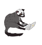 Ciki Civet (Asian Palm Civet)（個別スタンプ：13）