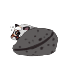 Ciki Civet (Asian Palm Civet)（個別スタンプ：36）