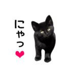 明るい黒猫♪（個別スタンプ：4）