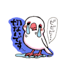 白文鳥ピイコとおともだち Part2（個別スタンプ：13）