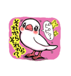 白文鳥ピイコとおともだち Part2（個別スタンプ：17）