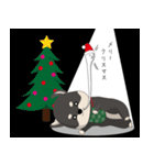 クリスマスが楽しみまたは不満な黒柴犬（個別スタンプ：12）