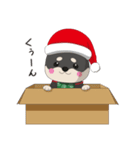 クリスマスが楽しみまたは不満な黒柴犬（個別スタンプ：13）