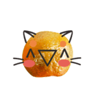 Orange Orange cat Of your oranges（個別スタンプ：1）