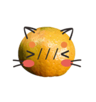 Orange Orange cat Of your oranges（個別スタンプ：3）
