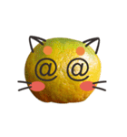 Orange Orange cat Of your oranges（個別スタンプ：8）