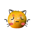 Orange Orange cat Of your oranges（個別スタンプ：11）