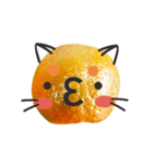 Orange Orange cat Of your oranges（個別スタンプ：14）
