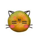 Orange Orange cat Of your oranges（個別スタンプ：25）