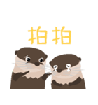 Busy Otter（個別スタンプ：34）