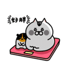 JiangZi Meow（個別スタンプ：14）