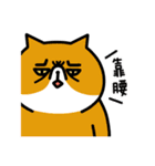 JiangZi Meow（個別スタンプ：35）