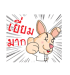 CPD Rabbit（個別スタンプ：3）