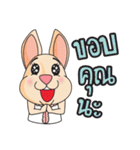 CPD Rabbit（個別スタンプ：4）