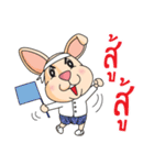 CPD Rabbit（個別スタンプ：18）