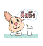 CPD Rabbit（個別スタンプ：25）