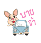 CPD Rabbit（個別スタンプ：40）