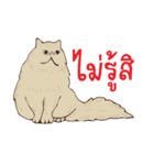Kru-Toon ATTHAYOOTH（個別スタンプ：38）