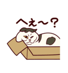 しわねこ様（個別スタンプ：2）