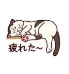 しわねこ様（個別スタンプ：18）