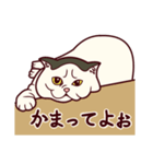 しわねこ様（個別スタンプ：29）