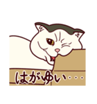 しわねこ様（個別スタンプ：30）