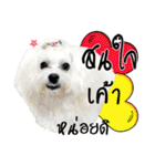 Mutu My Dog（個別スタンプ：9）