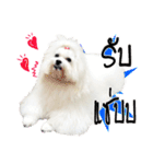 Mutu My Dog（個別スタンプ：13）