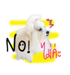 Mutu My Dog（個別スタンプ：15）