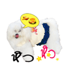 Mutu My Dog（個別スタンプ：17）