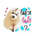 Mutu My Dog（個別スタンプ：18）