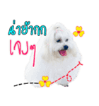 Mutu My Dog（個別スタンプ：20）