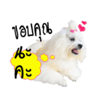 Mutu My Dog（個別スタンプ：24）