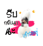 Mutu My Dog（個別スタンプ：25）