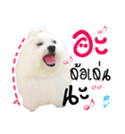 Mutu My Dog（個別スタンプ：28）