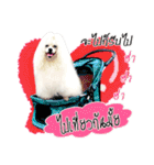 Mutu My Dog（個別スタンプ：36）