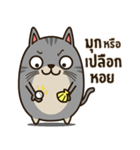 Salid This Funny Cat（個別スタンプ：1）