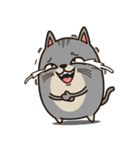 Salid This Funny Cat（個別スタンプ：2）