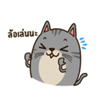 Salid This Funny Cat（個別スタンプ：4）