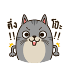 Salid This Funny Cat（個別スタンプ：5）