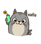 Salid This Funny Cat（個別スタンプ：8）