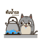 Salid This Funny Cat（個別スタンプ：12）