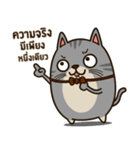 Salid This Funny Cat（個別スタンプ：14）