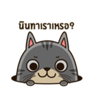 Salid This Funny Cat（個別スタンプ：15）