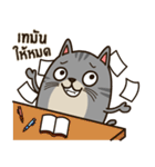 Salid This Funny Cat（個別スタンプ：19）