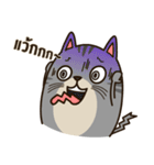 Salid This Funny Cat（個別スタンプ：24）