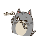 Salid This Funny Cat（個別スタンプ：25）