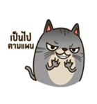 Salid This Funny Cat（個別スタンプ：27）